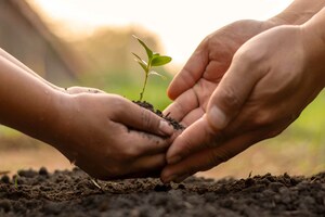 The 7 Most Effective Ways Of Nurturing A Lead