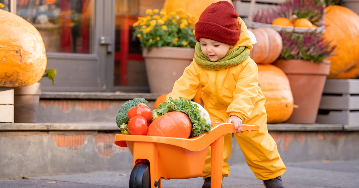 Thanksgiving Marketing Ideas