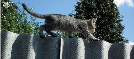 Agile Marketing: What Every Marketer Should Know