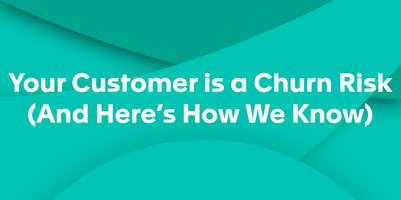 Your Customer is a Churn Risk (And Here's How We Know)
