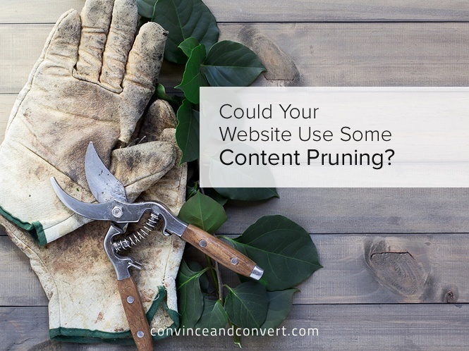 Could Your Website Use Some Content Pruning?