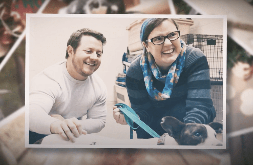 ConvertFlow Story – How Cuddle Clones captured 150,000+ SMS ecommerce leads with a triggered popup