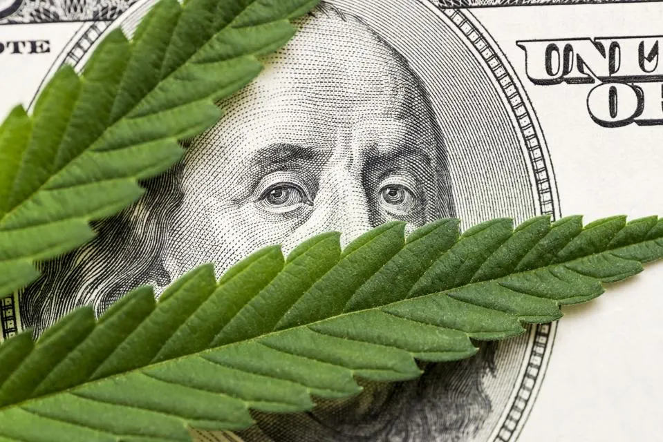 Legal Cannabis Market Projected To Rack Up $43 Billion By 2025