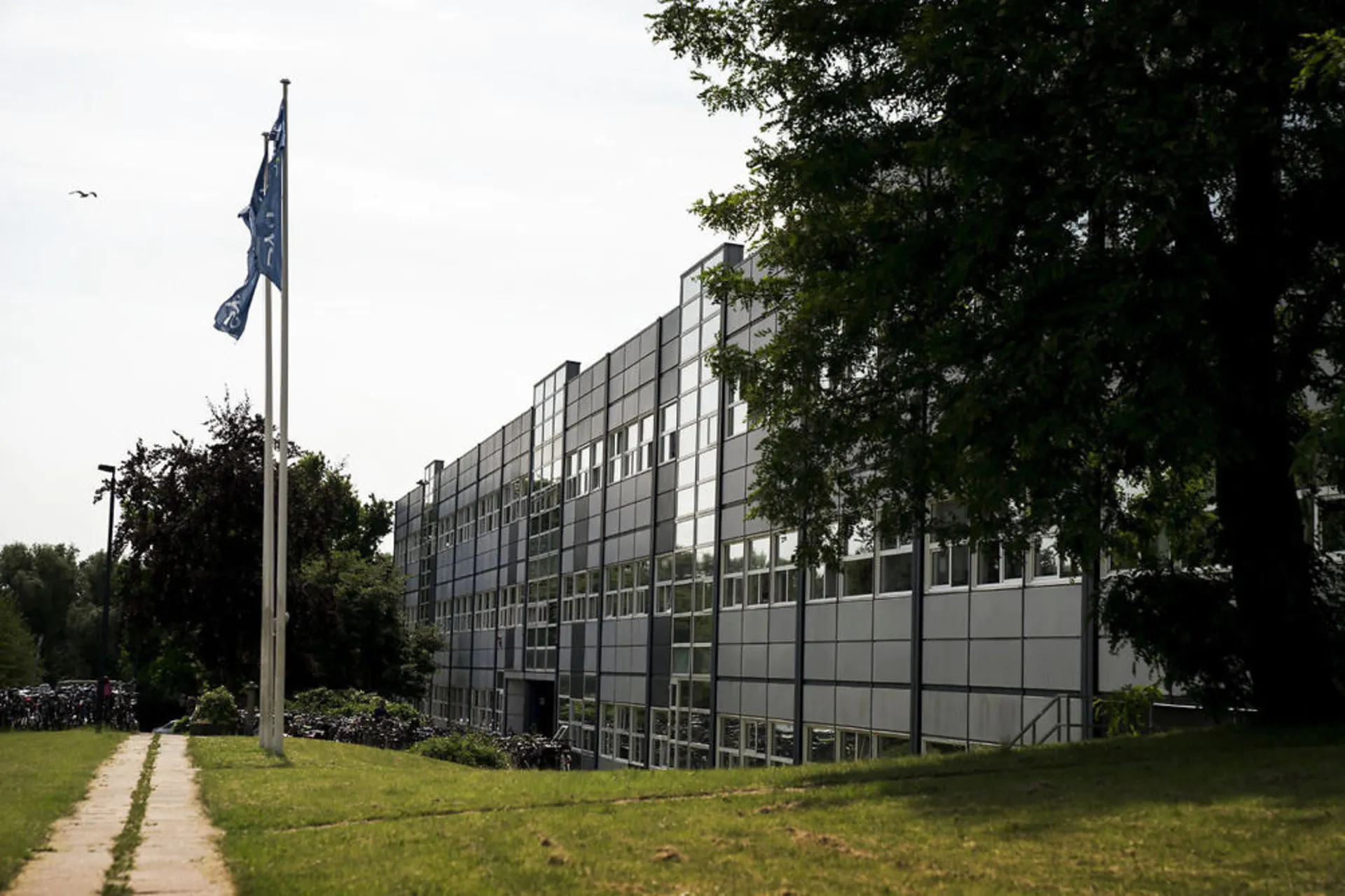 Meltwater Customer Stories: Copenhagen Business Hub