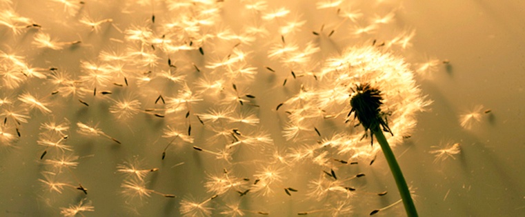 4 Mistakes to Avoid When Scaling Your Content Marketing [Infographic]