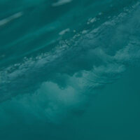 Partner Campaigns that Deliver: 5 Strategies for Driving High Performance