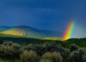 54 St. Patrick's Day Instagram Captions (Cliche-Free List)