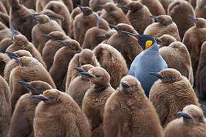 Stand Out from the Crowd with These Tips - The Robly Email Marketing Blog