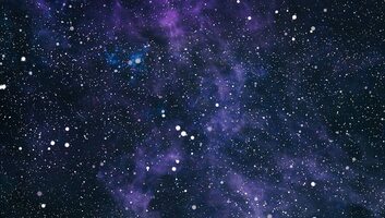 Online Retailers Rankings | CX Index