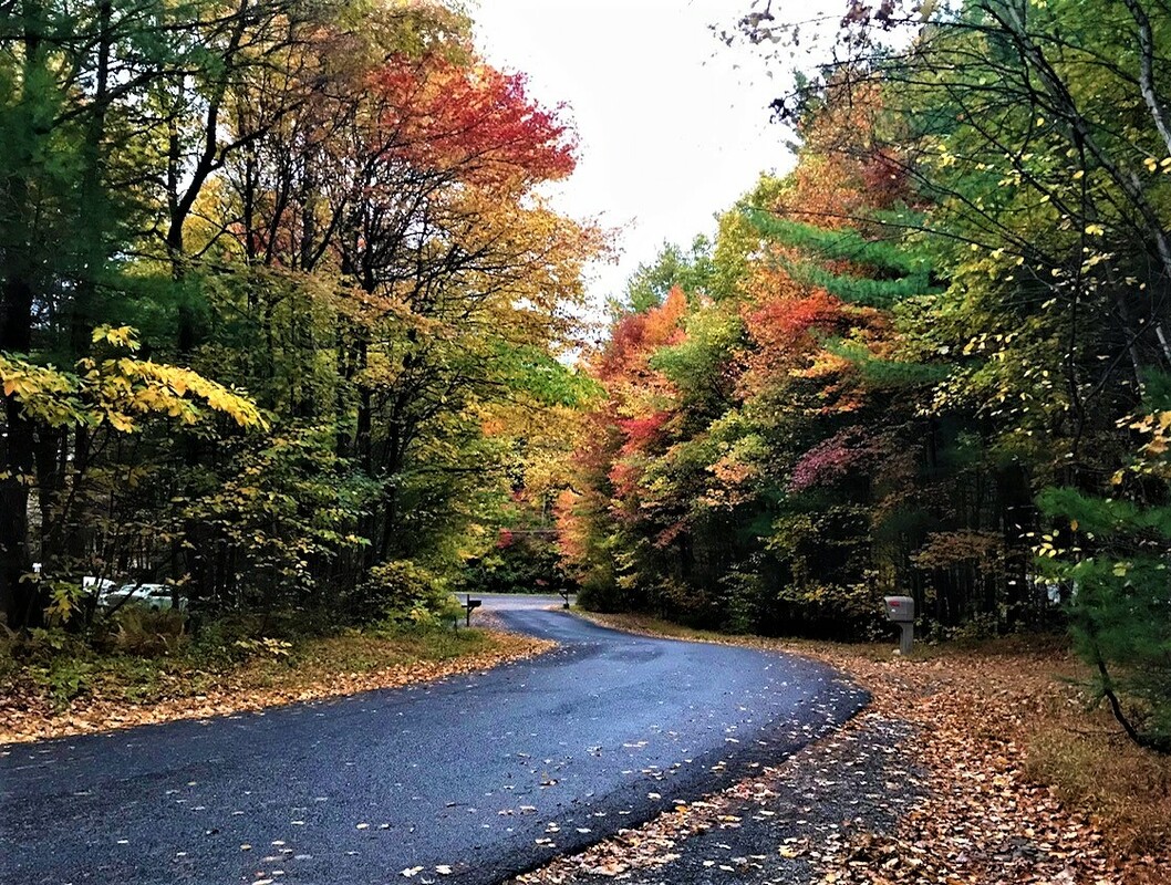 Forr The Planet: Sustainability Interview Series - Oracle