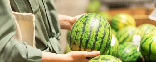 8+ Best Niches for Dropshipping in 2023