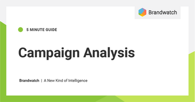 Guide: Campaign Analysis