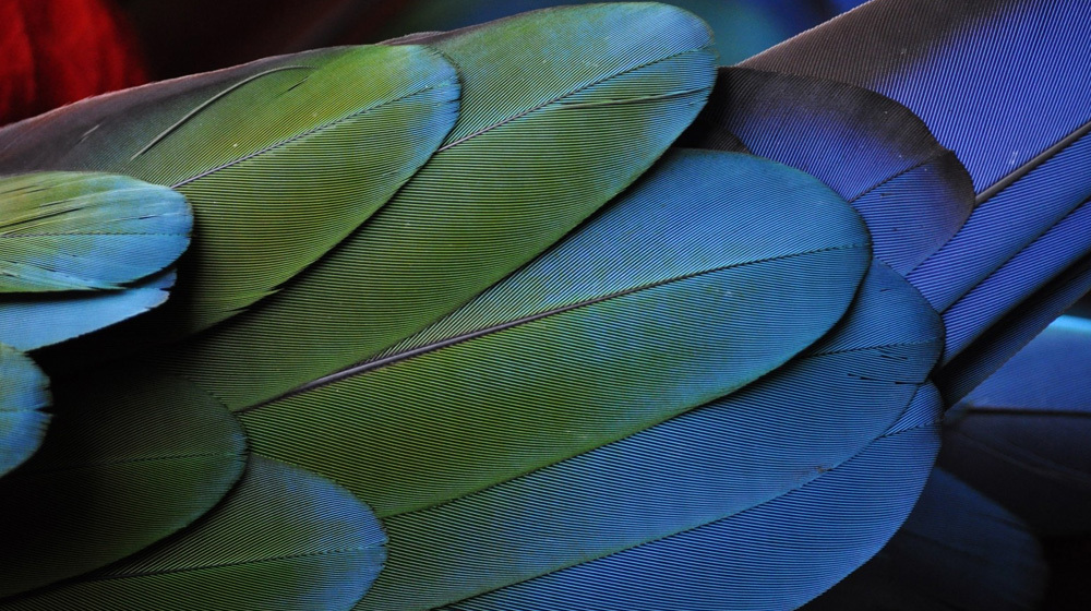 Your quick start guide to the Jetpack plugin