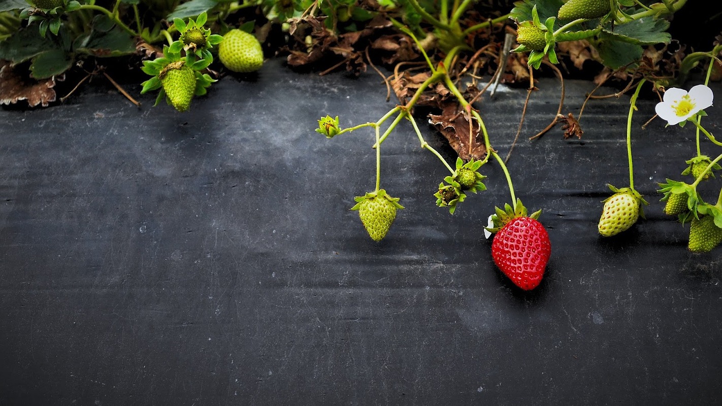 9 tips to grow your digital marketing agency • VBOUT