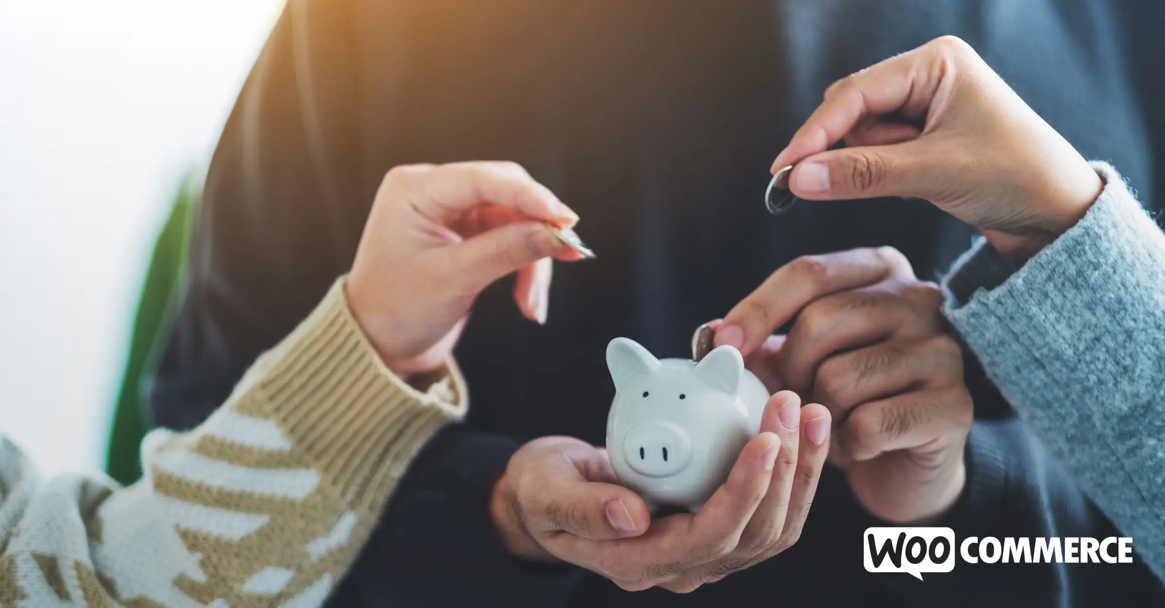 How to Crowdfund with WordPress