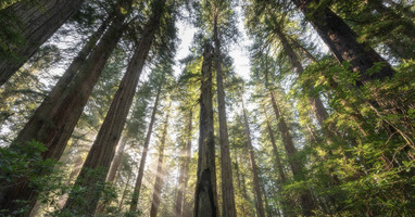 The GTM operating system for an 'efficient growth' world