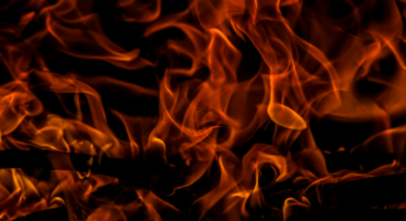 Meeting Lifecycle Automation: The Hottest New Category in Revenue Acceleration