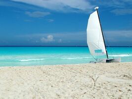 The Habits of Successful People: They Disengage to Renew