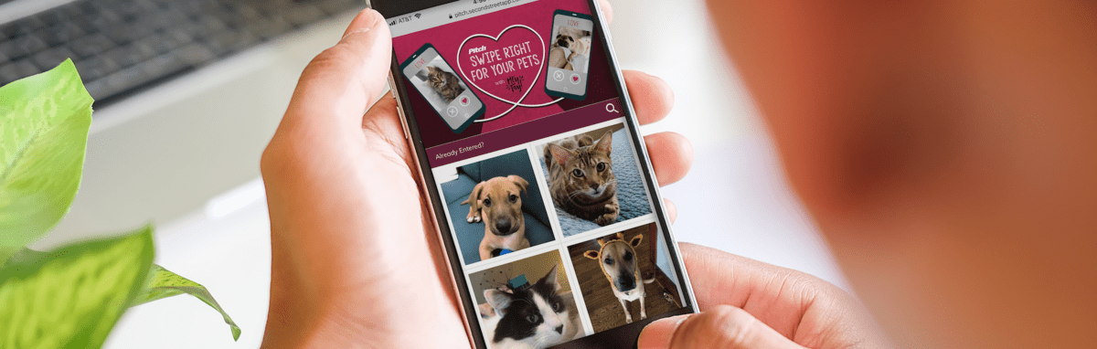 33 of Our Favorite Success Stories