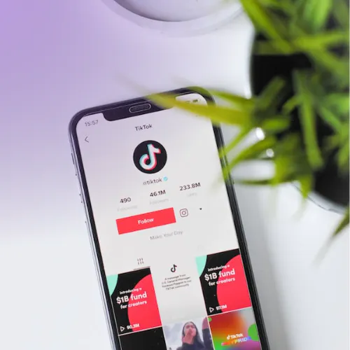 Far beyond dance videos: the impact of TikTok on e-commerce