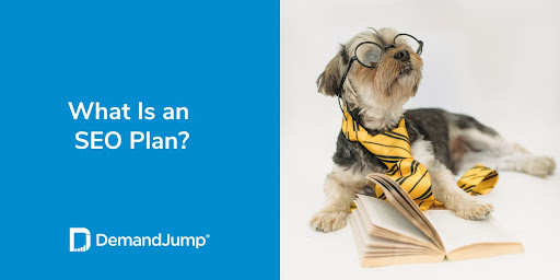 What Is an SEO Plan and Why Is it Needed?