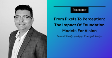 From Pixels To Perception: The Impact Of Foundation Models For Vision