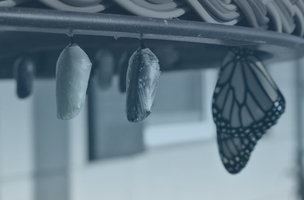 Rebranding 101: Everything You Need to Know