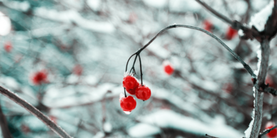 12 Emotional Stages of Organizing An Office Holiday Party