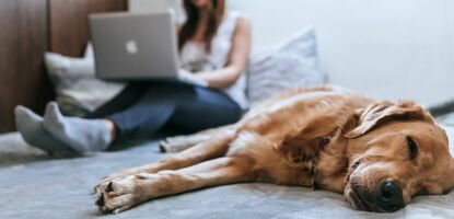 7 Best Practices To Achieve Email Signup Victory