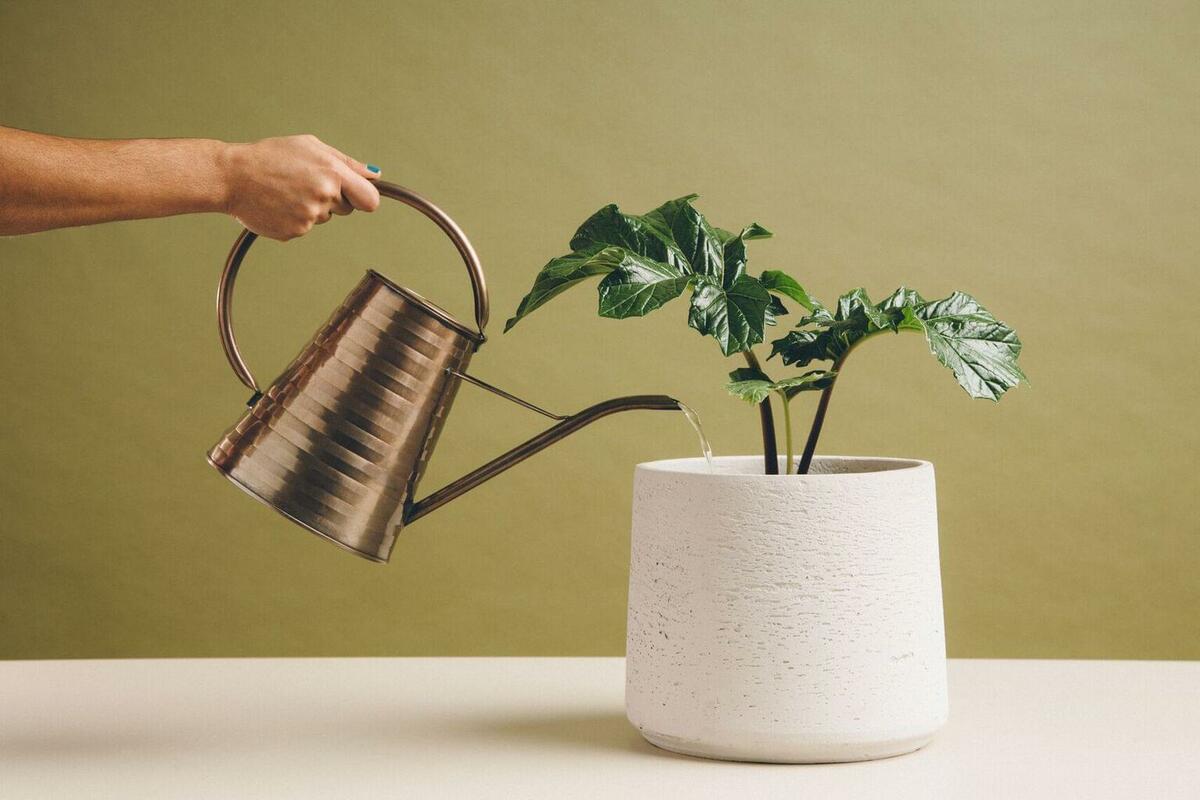 Lead management: What it is, why it's important, and how to master it