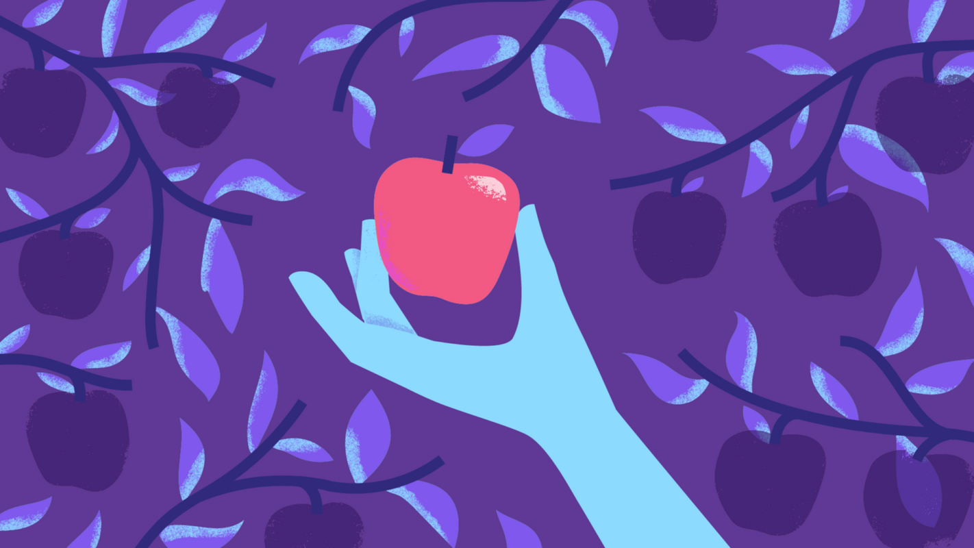 U.S.E.R. Framework for Maximizing Product Feedback