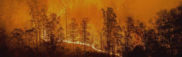 Essential wildfire preparation tips for property managers