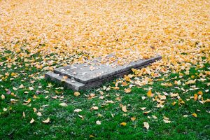 At the Wake of the MQL | ABM Best Practices | Alyce Blog