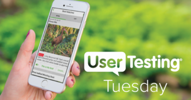 The Magic of Merlin: User Testing a Birding App in the Wild
