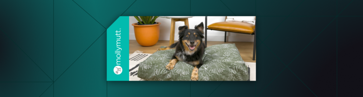 Molly Mutt Builds a Better Shopping Experience for Dog Owners