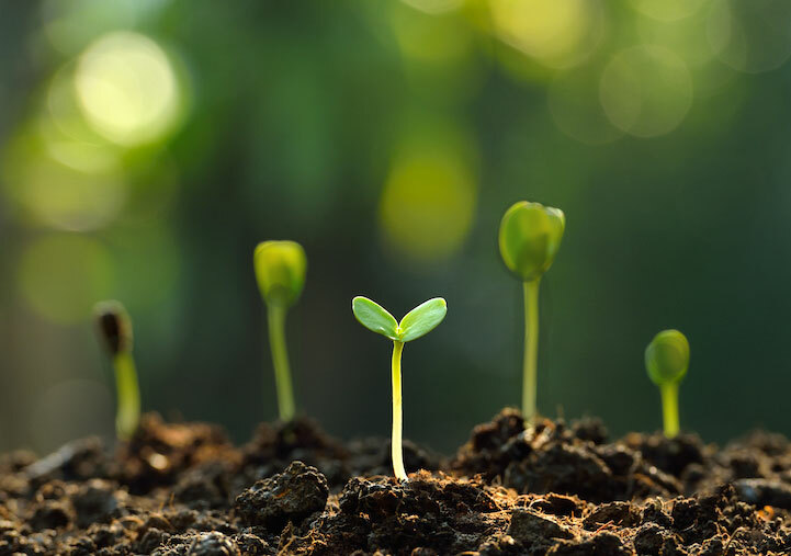 7 Things I Wish I Knew When I Started in PPC