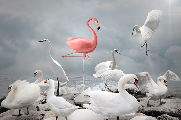 How I Learned the Hard Way Not to Associate My Company With Buzzwords