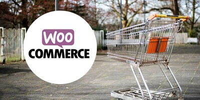 WooCommerce Abandoned Cart: 7 Plugins to Help You Recover Lost Sales