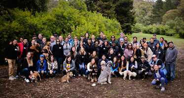 Lever Raises $50 Million In Series D Funding