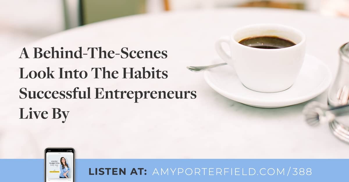 #388: A Behind-The-Scenes Look Into The Habits Successful Entrepreneurs Live By - Amy Porterfield | Online Marketing Expert