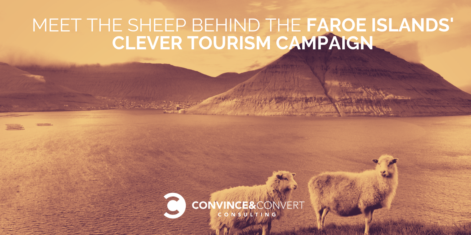 Meet the Sheep Behind the Faroe Islands' Clever Tourism Campaign