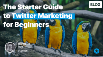 Twitter Marketing: Everything You Need to Know Before you Start