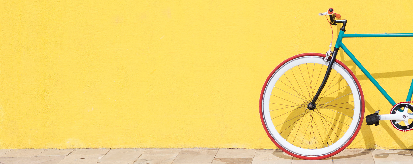 What's the Squeaky Wheel in Your Business?