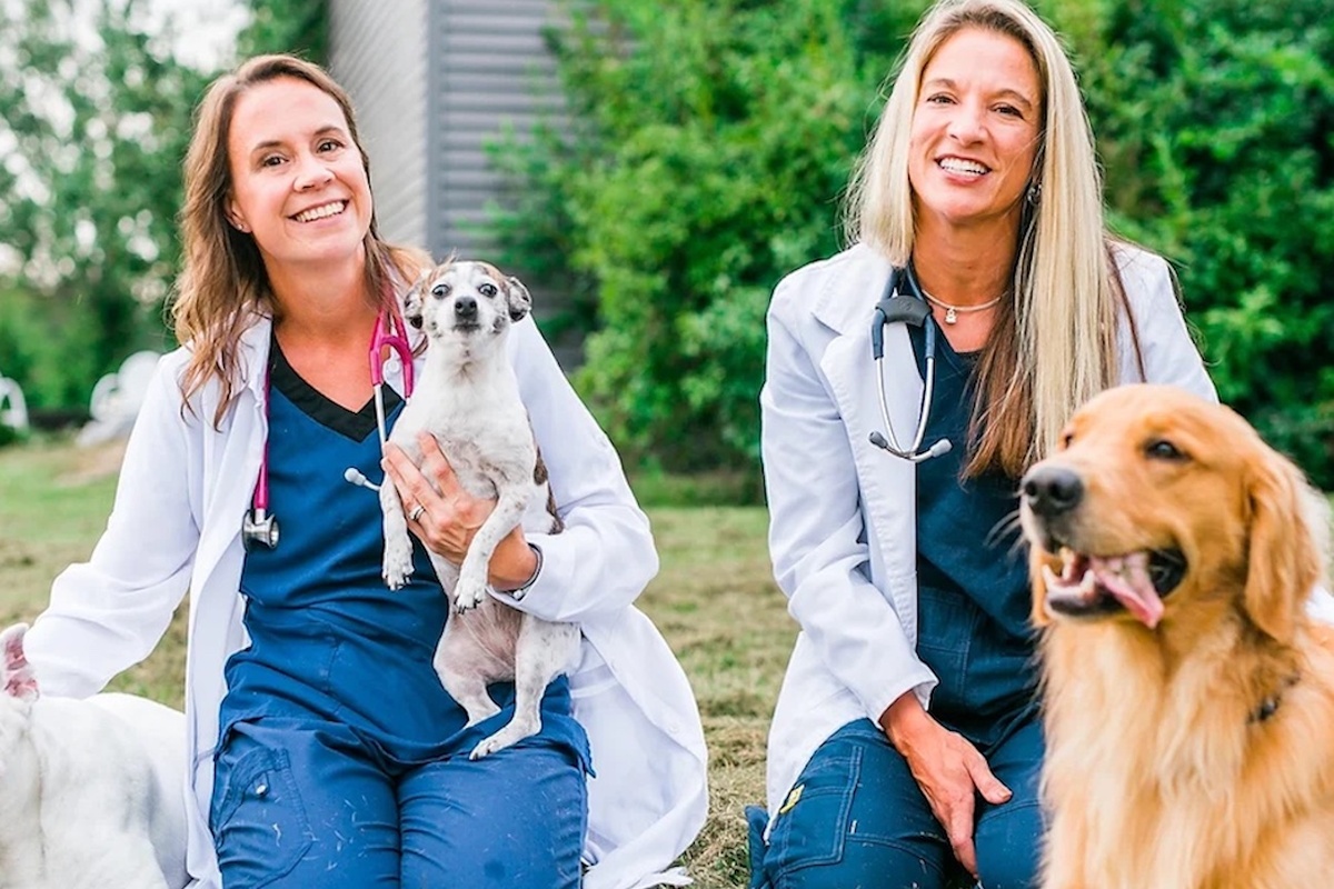 How Companies Like PetVet365 Use Performance Management Tools to Support Employee Well-being