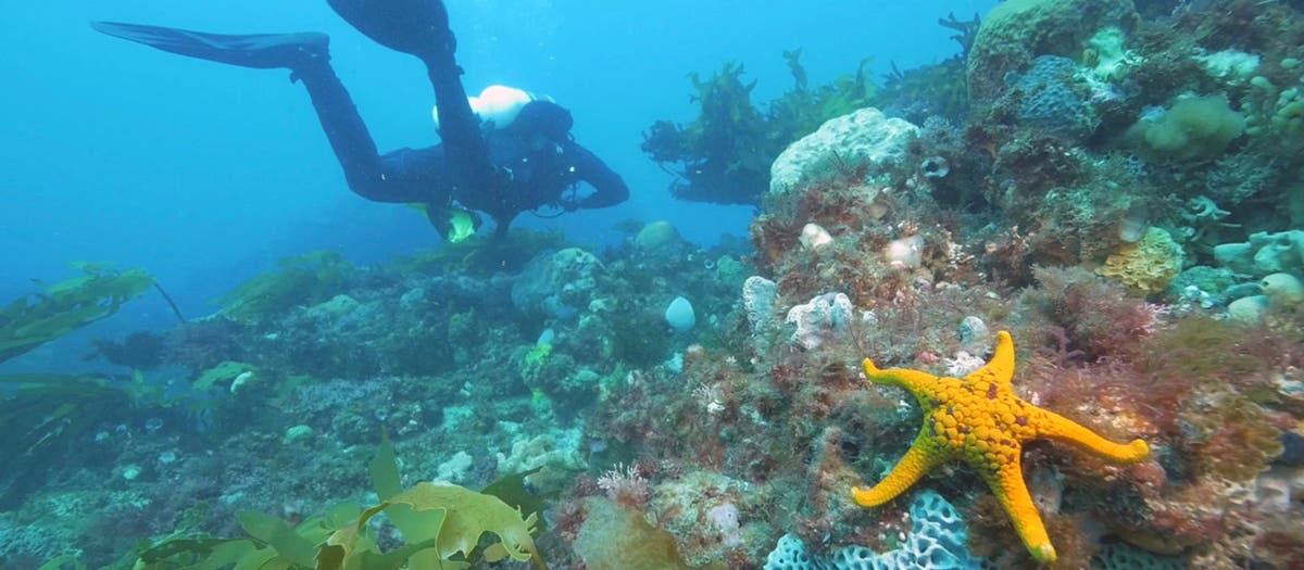 Jarrod Boord's Stunning Views from the Deep