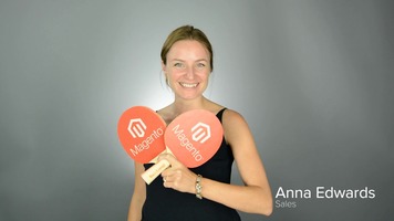 Introducing the Team