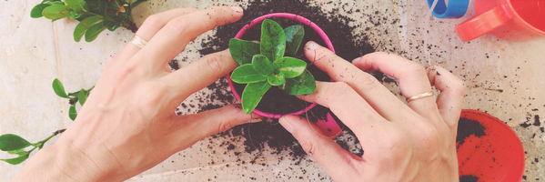 The Next Generation of Product Leaders