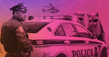 Disturbing the Peace: Mad Libs for the Citizen App - Ceros Inspire: Create, Share, Inspire