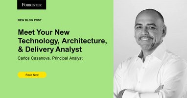 Meet Your New Technology, Architecture, And Delivery Analyst - Carlos Casanova