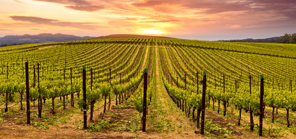 5 reasons to attend UNIFY by Singular